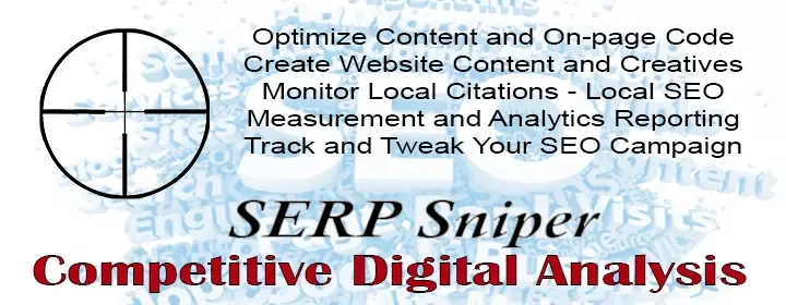 Competitive Digital Analysis from SERP Sniper Consulting, Houston Texas